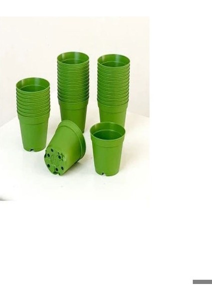 Katı Plastik Sukulent Saksısı 20 Adet Yeşil (5.5 Cm)