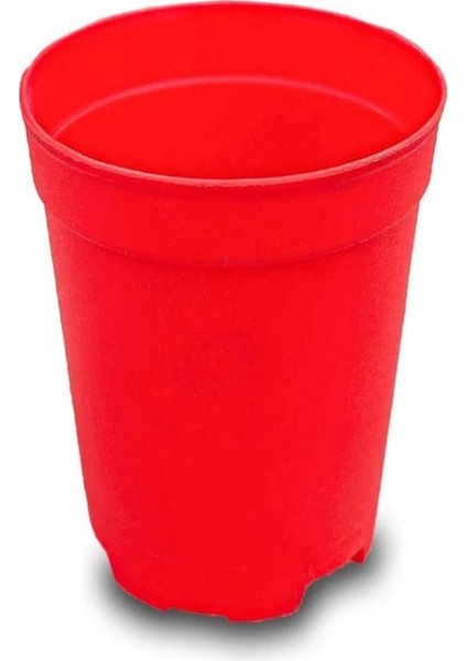 Katı Plastik Sukulent Saksısı 20 Adet Kırmızı (5.5 Cm)
