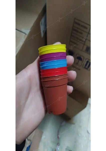 Bitkim Sende Katı Plastik Sukulent Saksısı 20 Adet Kahverengi (5.5 Cm)