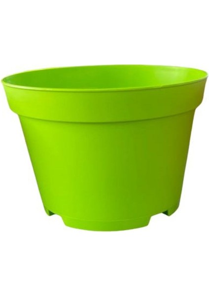 Katı Plastik Sukulent Saksısı 15 Adet Açık Yeşil (8.5 Cm)