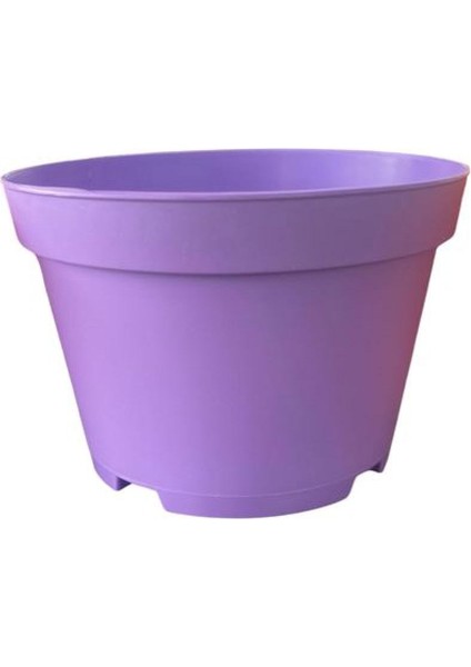 Katı Plastik Sukulent Saksısı 15 Adet Açık Mor (8.5 Cm)