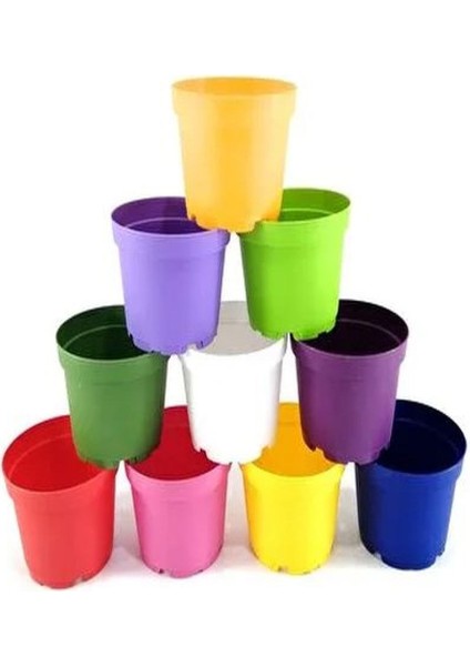 Katı Plastik Sukulent Saksısı 20 Adet Koyu Mor (8.5 Cm)