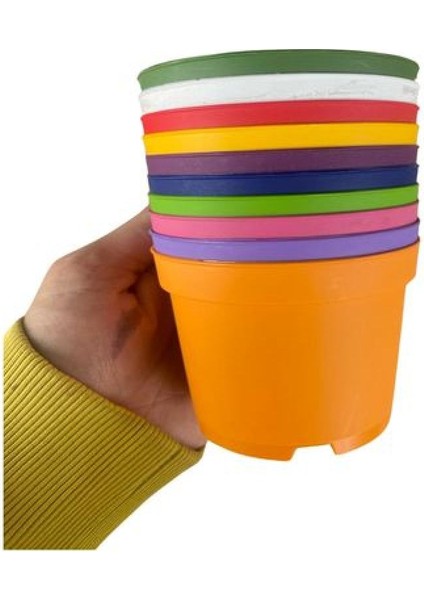 Katı Plastik Sukulent Saksısı 20 Adet Koyu Mor (8.5 Cm)