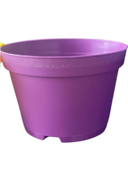 Katı Plastik Sukulent Saksısı 20 Adet Koyu Mor (8.5 Cm)