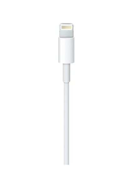 Oem Apple Lightning (2m) USB Kablo - MD819ZM/A Apple Türkiye Garantili