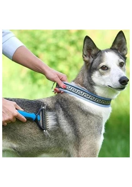 Plastik Saplı Metal Kedi Köpek Bakım Kıtık Tüy Topak Açıcı Tarak