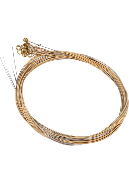 12 Adet Dayanıklı Paslanmaz Çelik Gitar Telleri Yedek 12 Dizeleri Gitar Parçaları Aksesuarları Için Set (Yurt Dışından) modelleri