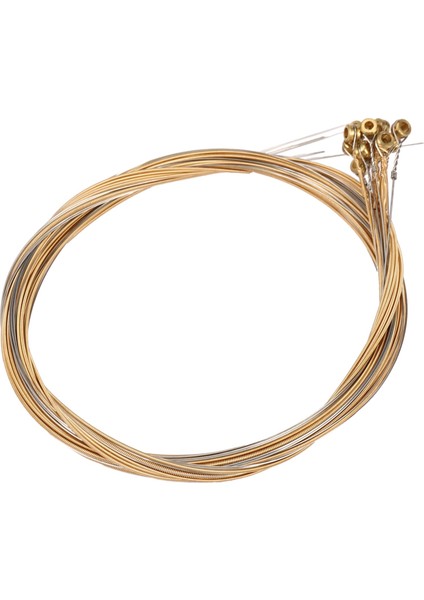 12 Adet Dayanıklı Paslanmaz Çelik Gitar Telleri Yedek 12 Dizeleri Gitar Parçaları Aksesuarları Için Set (Yurt Dışından) fırsatları