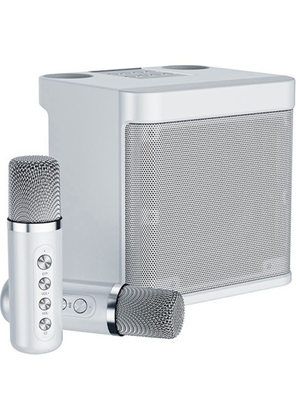 , 2 Kablosuz Mikrofonlu Taşınabilir Bluetooth Pa Sistemi, Aile Toplantısı, Toplantı, Piknik (Yurt Dışından)