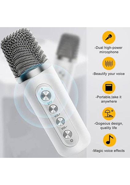 , 2 Kablosuz Mikrofonlu Taşınabilir Bluetooth Pa Sistemi, Aile Toplantısı, Toplantı, Piknik (Yurt Dışından)