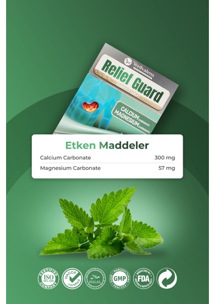 Relief Guard Antacid – Kalsiyum Karbonat ve Magnezyum Karbonatlı Nane Ferahlığı - 24 Çiğnenebilir Tablet M