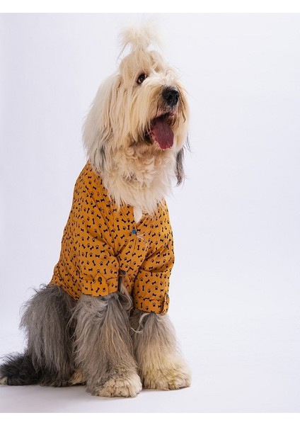 Hardal Ossa Büyük Irk Köpek Gömlek