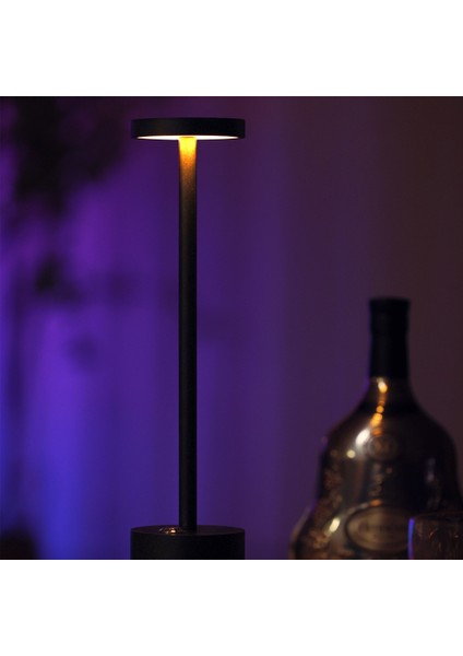 LED Şarj Edilebilir USB Masa Lambası Akülü Dokunmatik Karartma Masa Lambası Bar Ktv Otel Oturma Odası Gece Lambası Abd Plug Siyah (Yurt Dışından)