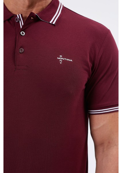 Regular Fit Polo Yaka Detaylı Erkek T-Shirt-PL3565TY241 fiyatları