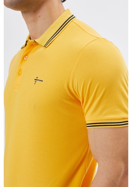 Regular Fit Polo Yaka Detaylı Erkek T-Shirt-PL3565TY241 fiyatları