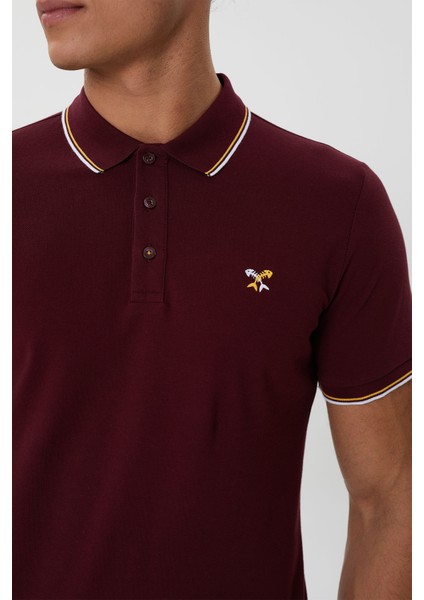 Regular Fit Polo Yaka Nakış Detaylı T-Shirt-PL2472TY241