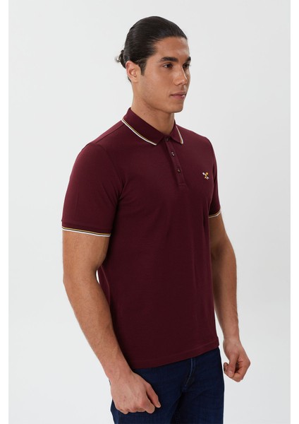 Regular Fit Polo Yaka Nakış Detaylı T-Shirt-PL2472TY241