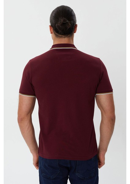 Regular Fit Polo Yaka Nakış Detaylı T-Shirt-PL2472TY241