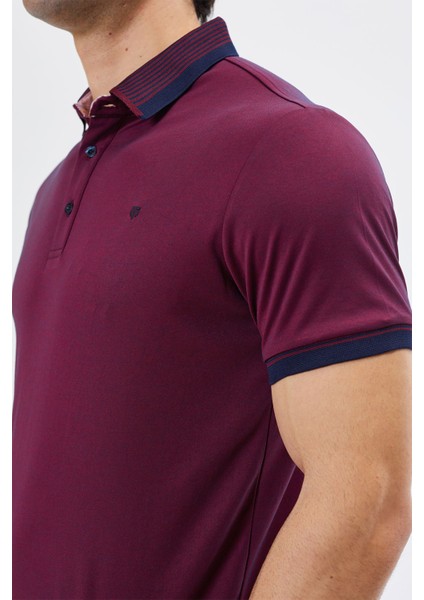 Polo Yaka Regular Fit Yaka Detaylı Erkek T-Shirt-6251TY241 fiyatları