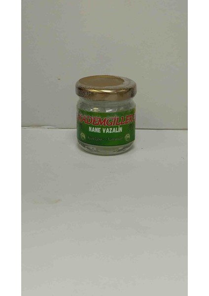 Nane Özlü Vazalin 50 ml fiyatları