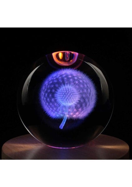 Kişiye Özel Karahindiba LED Gece Lambası 5 Renk Değiştirir modelleri