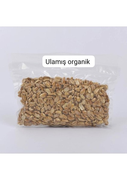 Pilavlık Yer Fıstığı 1 kg Organik Üretim
