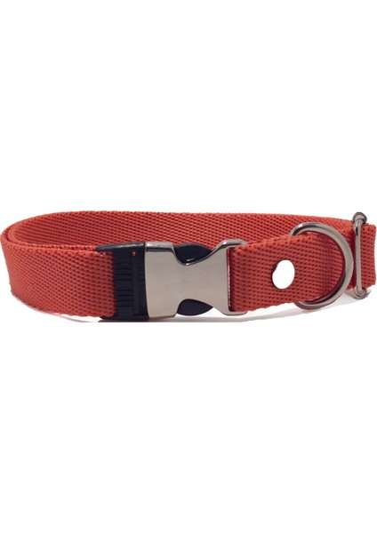 Küçük/büyük Köpekler Için Rahat Ayarlanabilir Siyah Boyun Tasması - 2cm En Ölçülü Tasma