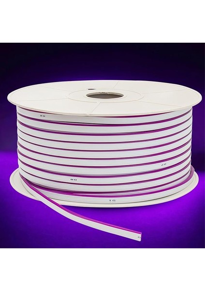 Mor Neon LED 5 mt 12 Volt 6 x 12 mm