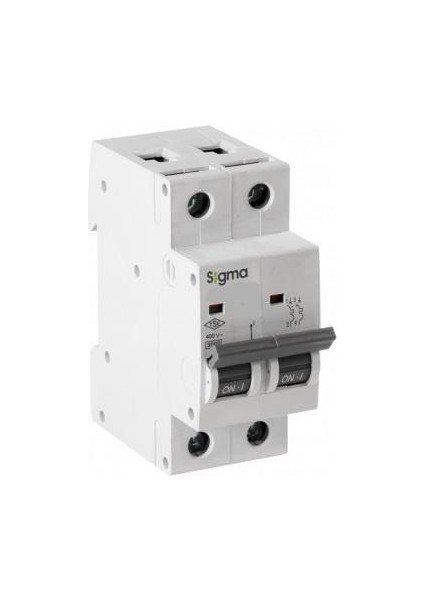 6SM263C 2X63A 6ka C Serisi Otomatik Sigorta