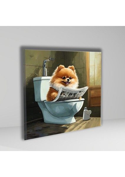 Tekli Kare Kanvas Banyo Tablosu Gazete Okuyan Pomarian Köpek