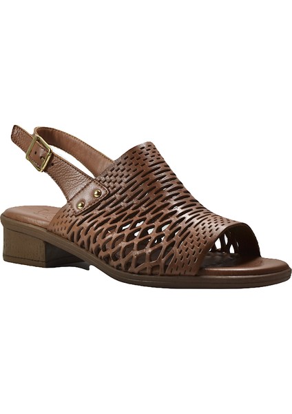 6001 Deri Siyah & Kahverengi Anatomik Kadın Sandalet fiyatları