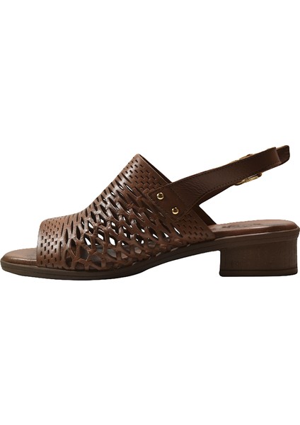 6001 Deri Siyah & Kahverengi Anatomik Kadın Sandalet modelleri