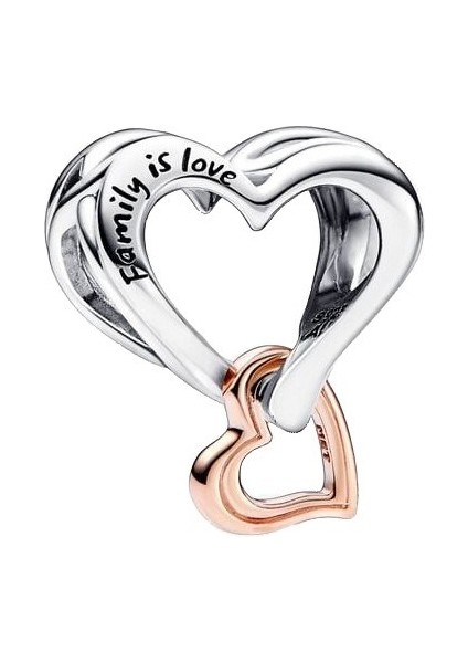 Iki Renkli Kafes Işi Sonsuz Kalp Charm 782642C00