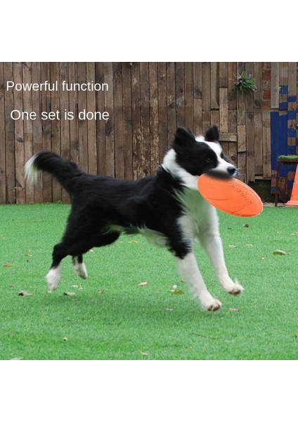 Köpek Frizbisi Köpek Isırmasına Dayanıklı Frizbi Evcil Hayvan Eğitimi Frizbisi 15CM (Yurt Dışından) fırsatları