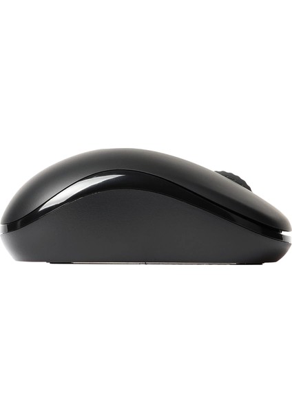 17298 M10 Plus Kablosuz Optik Siyah Mouse