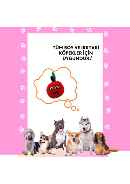 Sevimli Kırmızı Elma Peluş Köpek Oyuncağı Hışırtı Sesli Köpek Oyun Topu