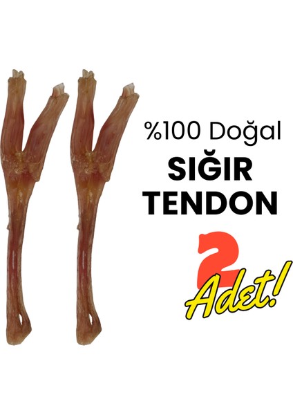 2 Adet Köpek Ödülü %100 Doğal Köpek Çiğneme Çubuğu Köpek Ağız Sağlığı