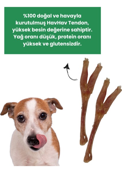 2 Adet Köpek Ödülü %100 Doğal Köpek Çiğneme Çubuğu Köpek Ağız Sağlığı modelleri