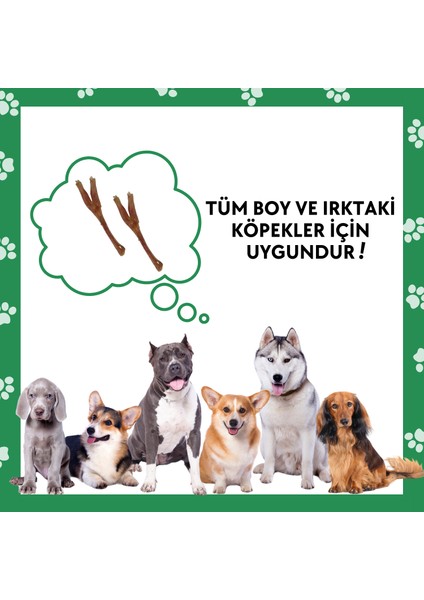 2 Adet Köpek Ödülü %100 Doğal Köpek Çiğneme Çubuğu Köpek Ağız Sağlığı