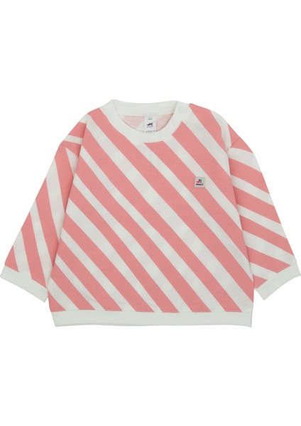 Omzu Çıtçıtlı Verev Çizgi Baskılı Sweatshirt