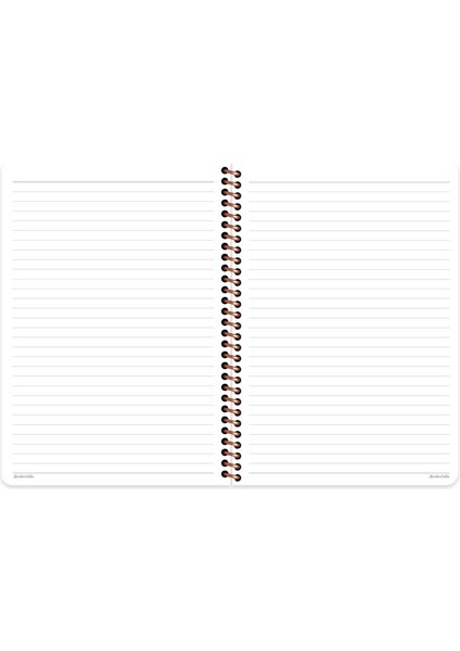 Çizgili Spiralli Sert Kapak Defter La Plume Balloon Mor 20X28 fiyatları
