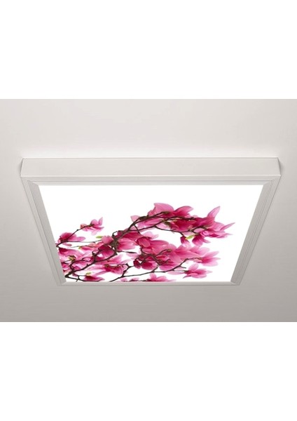 60X60 LED Panel Sıva Üstü Desenli Tekli 46510026SU
