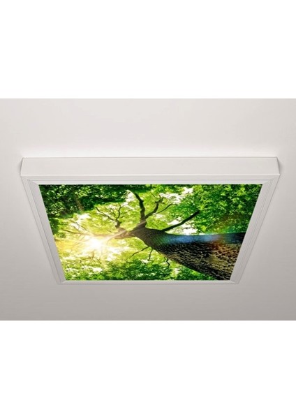 60X60 LED Panel Sıva Üstü Desenli Tekli 46510172SU