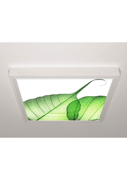 60X60 LED Panel Sıva Üstü Desenli Tekli 46510099SU