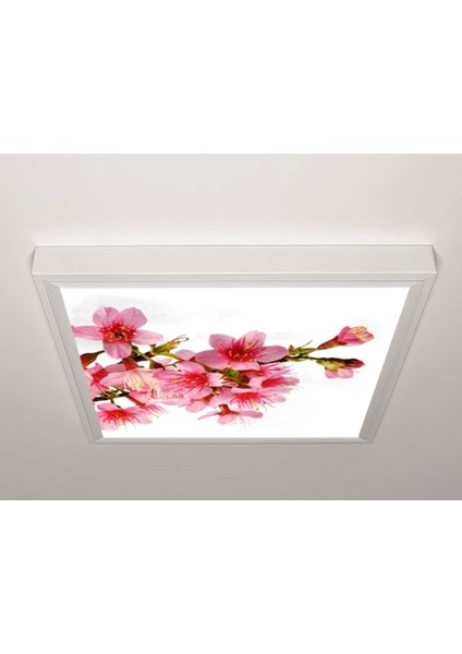 60X60 LED Panel Sıva Üstü Desenli Tekli 46510170SU