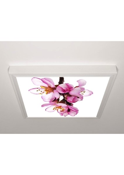 60X60 LED Panel Sıva Üstü Desenli Tekli 46510169SU