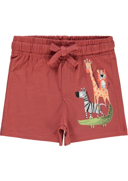 Erkek Çocuk Şort 2-5 Yaş Kiremit