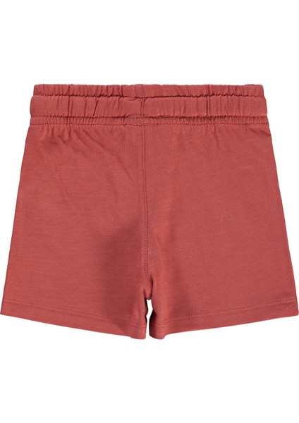 Erkek Çocuk Şort 2-5 Yaş Kiremit fiyatları