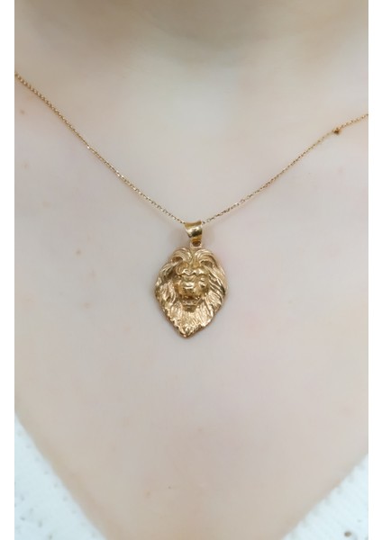 Aslan Baş Kolye 14 Ayar A043521 fiyatları