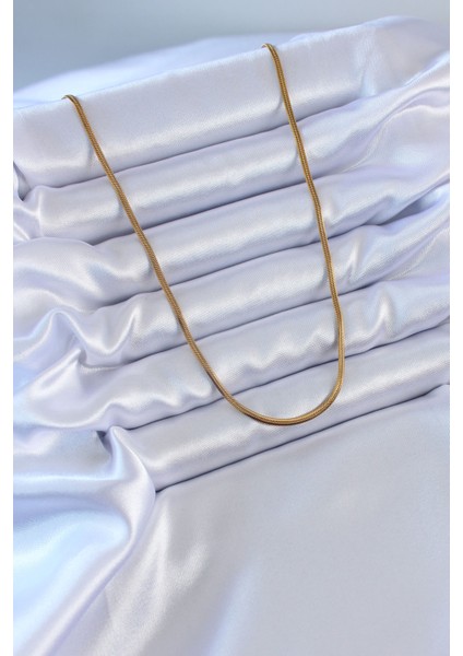 316L Çelik Gold Renk Ince Italyan Zincir Model 60 cm Kadın Kolye - TJ-BKO7663 fiyatları